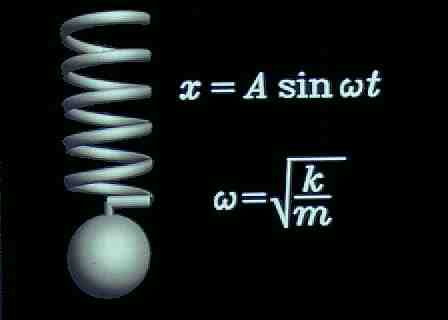 mu116_sm.jpg